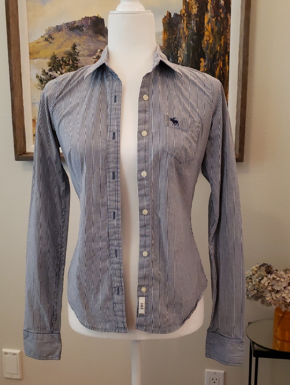 Abercrombie & Fitch Women's Size Small Button Down Shirt